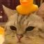 @89818's avatar