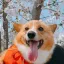 @lietu's avatar