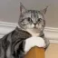 @25818's avatar