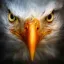 @hossein_a's avatar