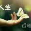 @xinren's avatar