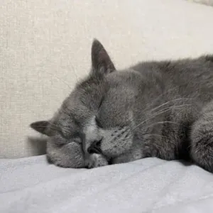 @huanhoahong's avatar