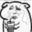 @toadsagey's avatar