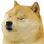 @notknownamewha1's avatar