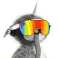 @0xakhil's avatar