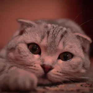 @gongjichang1's avatar