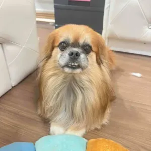 @peterwu's avatar