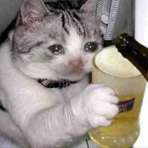 @exuberance's avatar