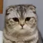 @extra's avatar