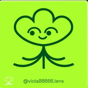 @viola88666's avatar