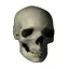 @qwerty's avatar