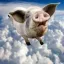 @enjoyhammock's avatar