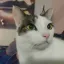 @01125's avatar