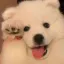 @subhu7389's avatar
