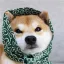 @0xjun's avatar