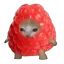 @reka_eth's avatar