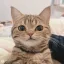 @alkatza's avatar