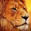 king