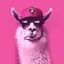 Lambo Llama