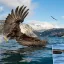 Venusair